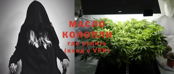 тгк Пересвет