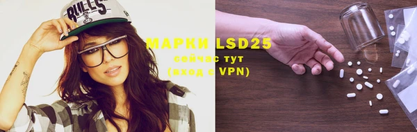 ГАЛЛЮЦИНОГЕННЫЕ ГРИБЫ Переславль-Залесский