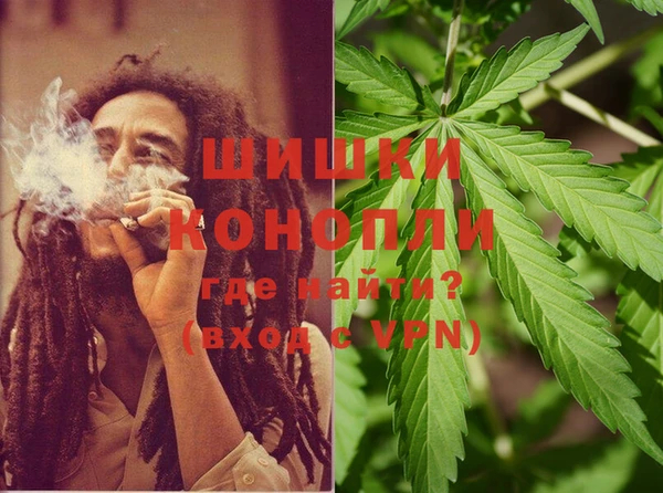 тгк Пересвет