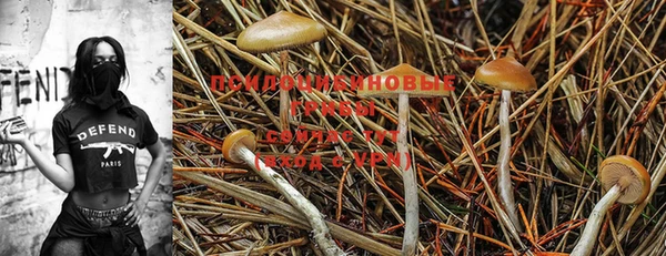 марки lsd Пестово