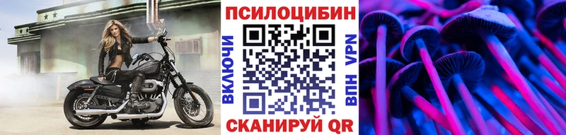 Галлюциногенные грибы Psilocybe  Купить где  Рыбинск 